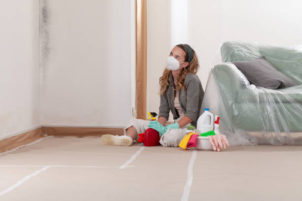 Reliable Mold Removal contractor in Tarpon Springs, FL by WQB Mold Removal